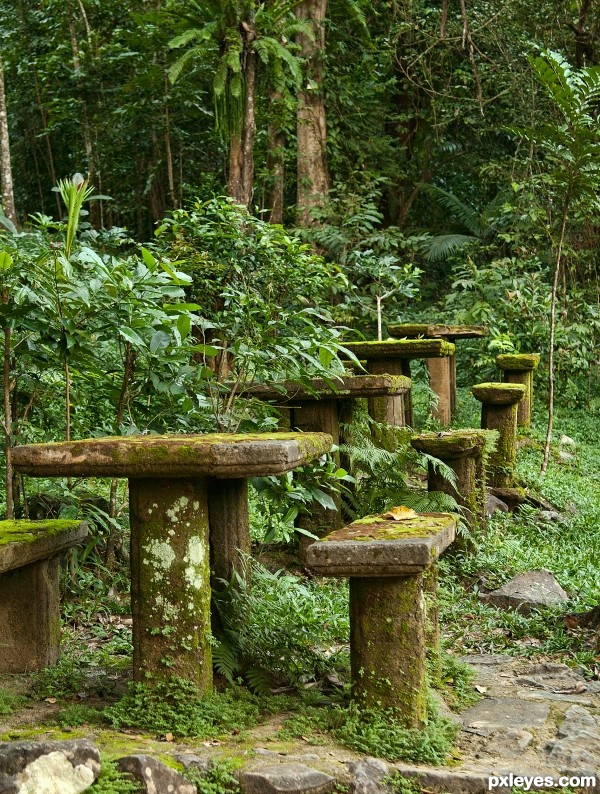 old picnic area